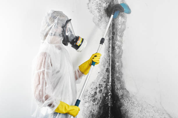 Water damage restoration mold remediation in Port Arthur, TX